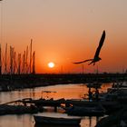 Sonnenuntergang am Hafen