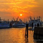 Sonnenuntergang am Hafen in Hamburg