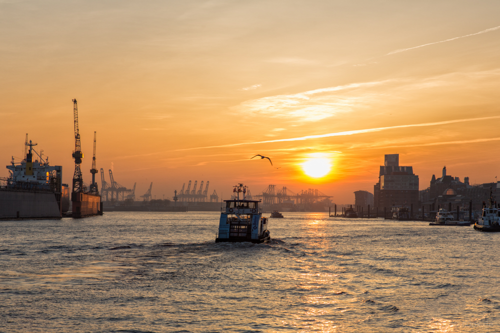 Sonnenuntergang am Hafen VI