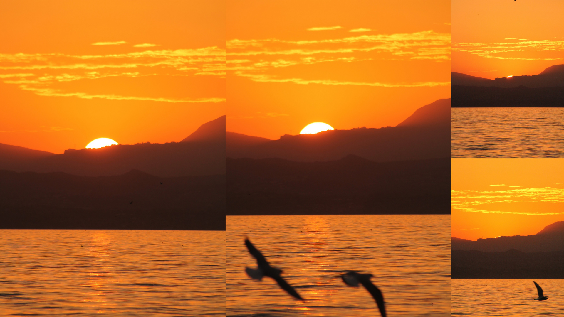 Sonnenuntergang am Hafen von Lazise