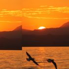 Sonnenuntergang am Hafen von Lazise