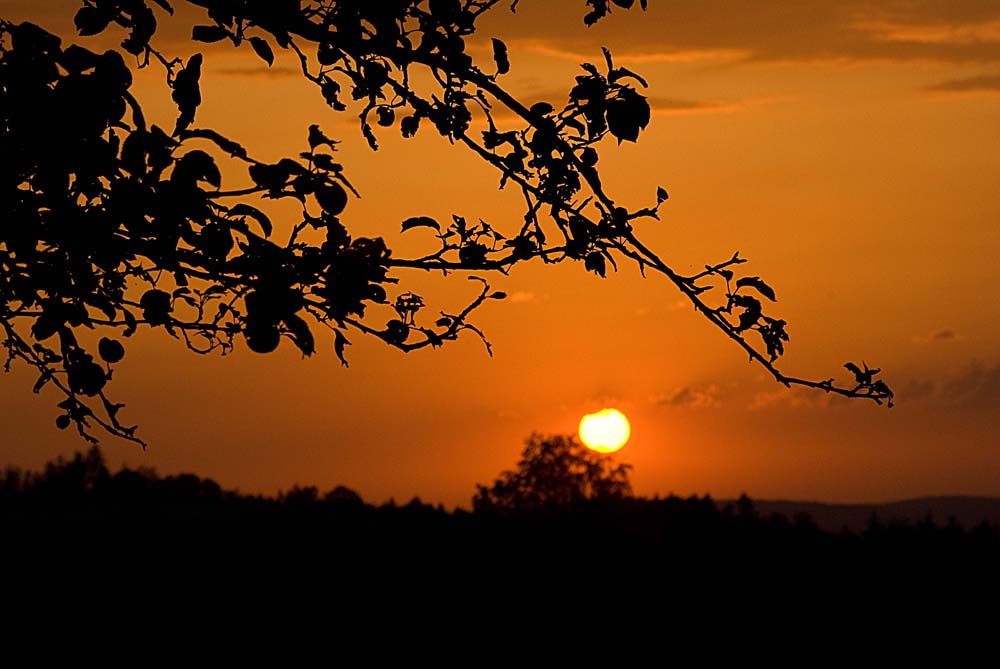 Sonnenuntergang am Hagberg