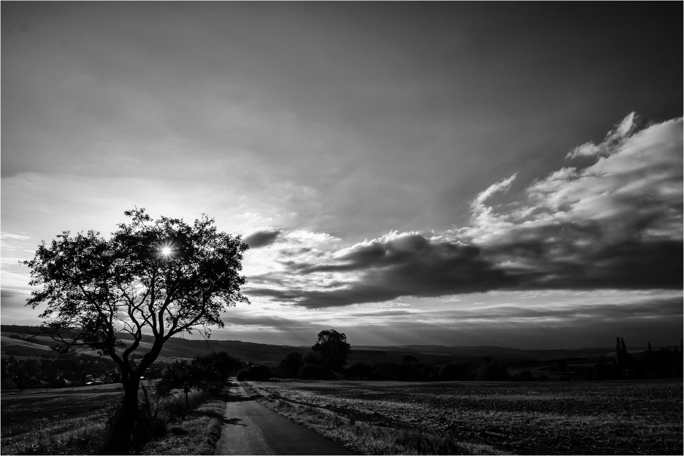 Sonnenuntergang am Hainich