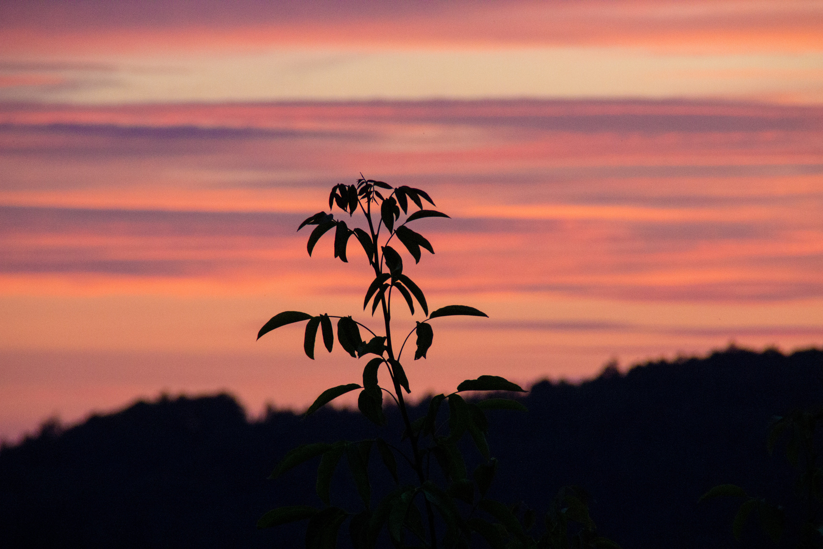 Sonnenuntergang am Hang