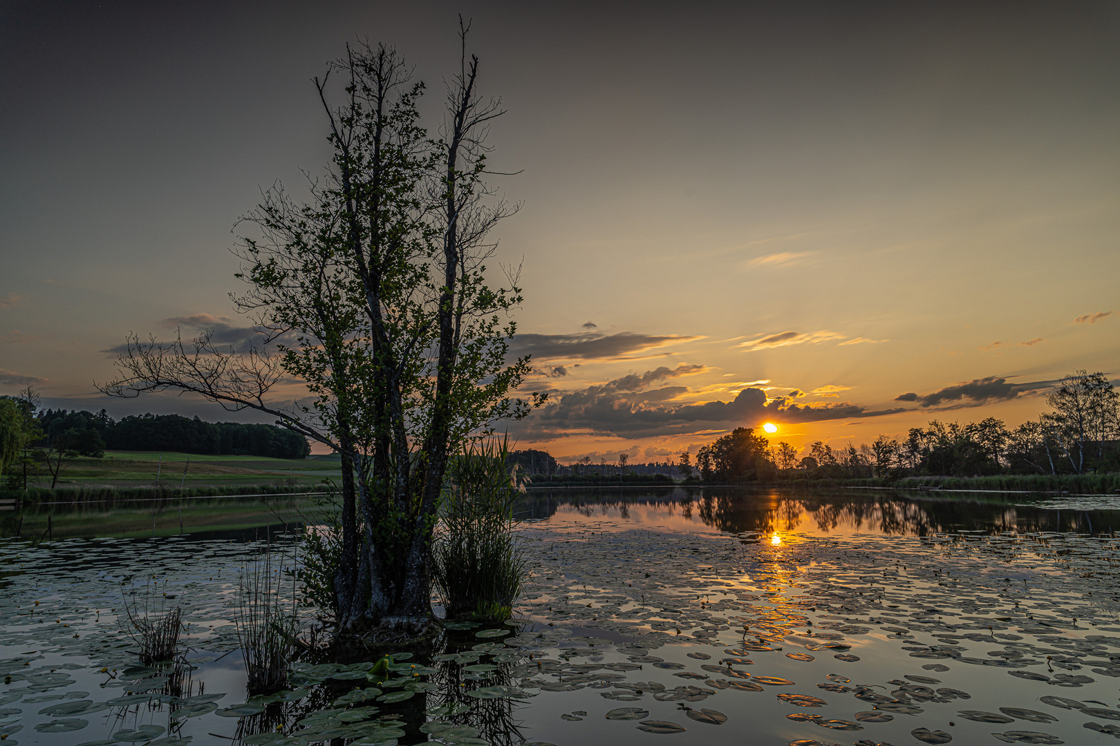 Sonnenuntergang am Hasensee