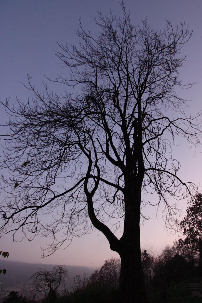 Sonnenuntergang am Heiligen Abend