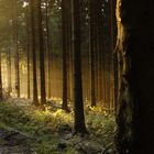 Sonnenuntergang am herbstlichen Feldberg (Taunus)