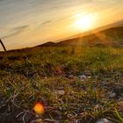 Sonnenuntergang am Himmelsobservatorium