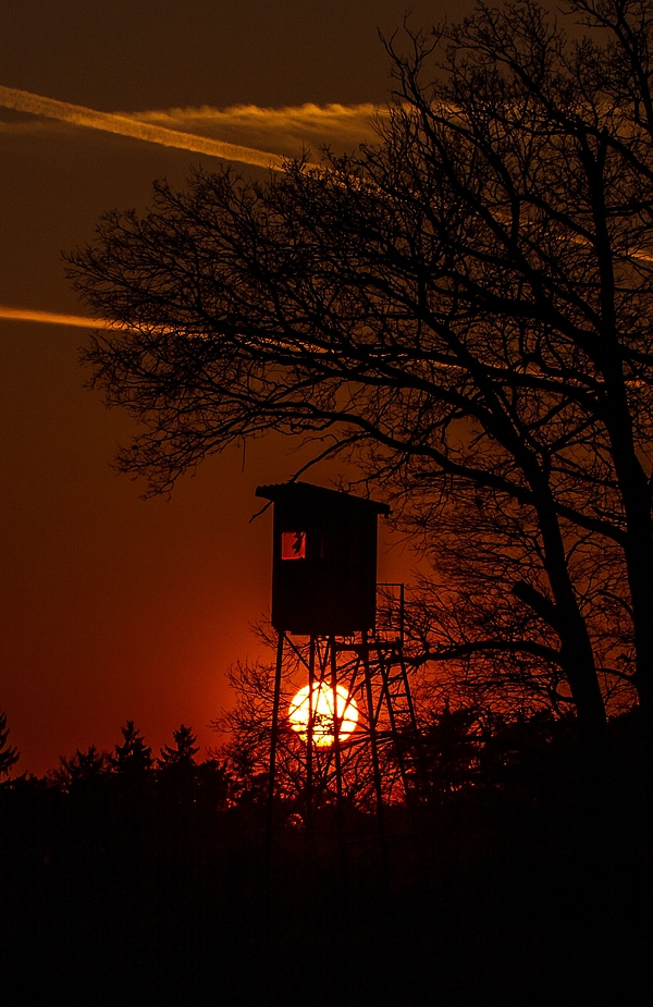 Sonnenuntergang am Hochsitz