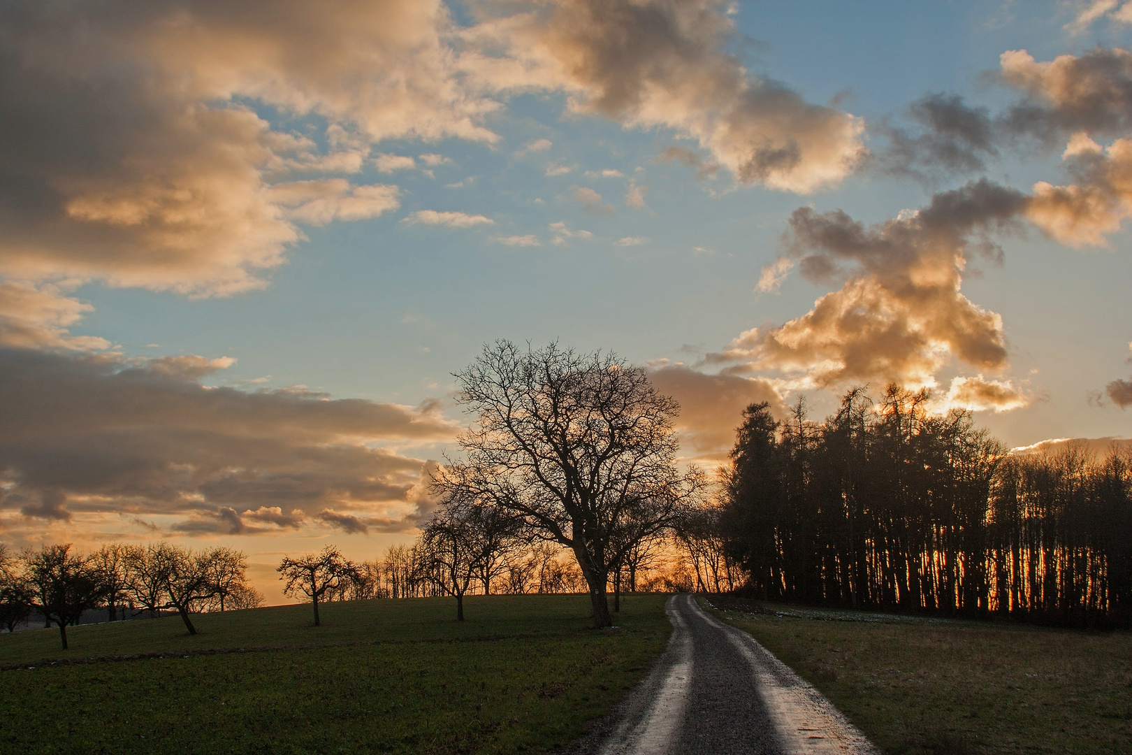 Sonnenuntergang am Hohberg