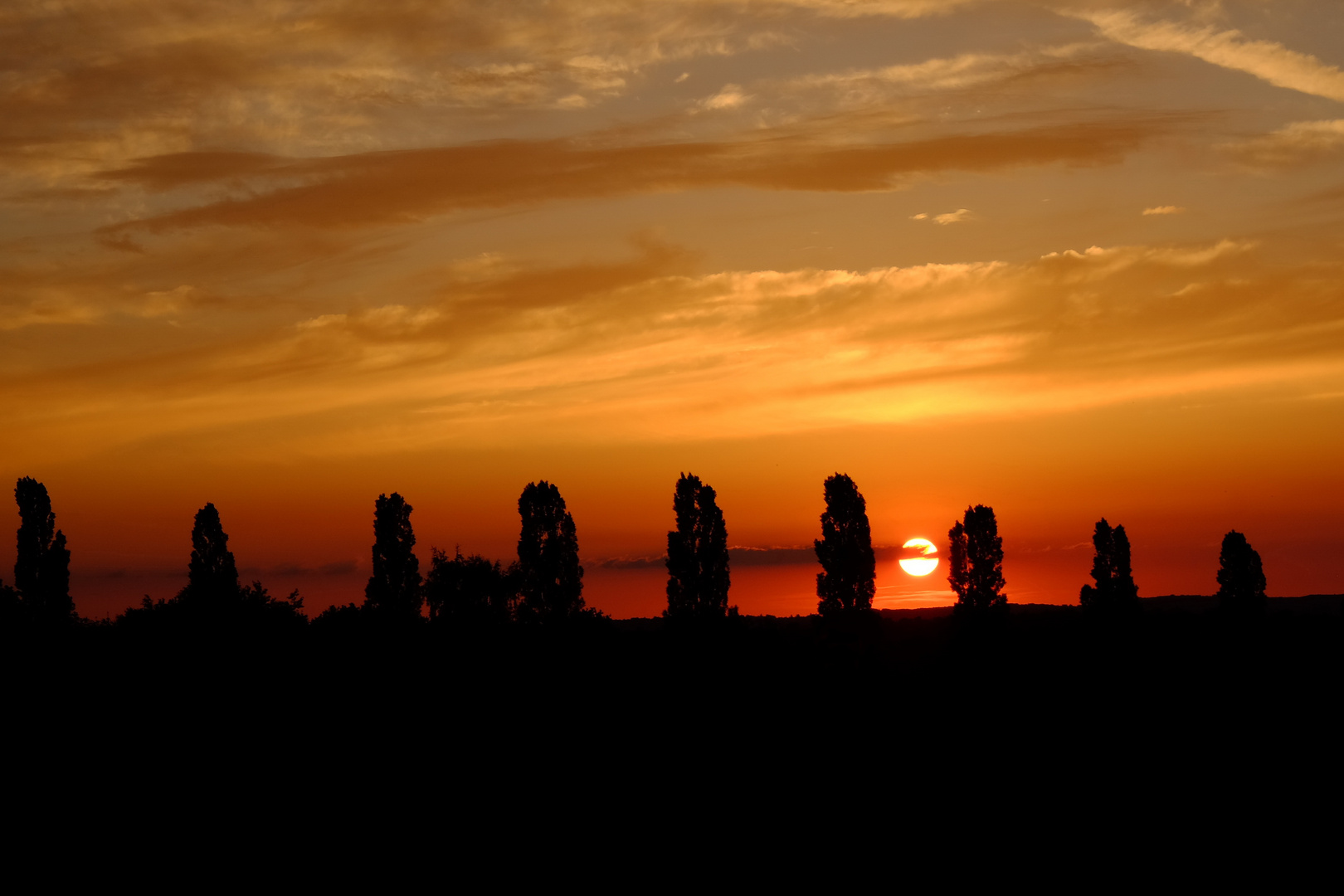 Sonnenuntergang am Hoheberg Wehrden