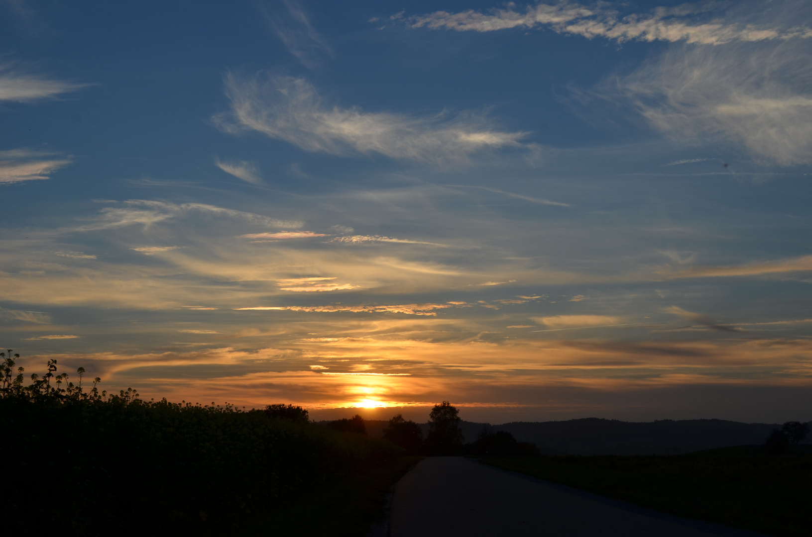 Sonnenuntergang am Hohenberg