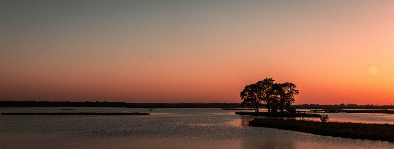 Sonnenuntergang am Holter Tief in ostfriesland