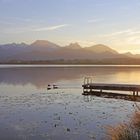 Sonnenuntergang am Hopfensee