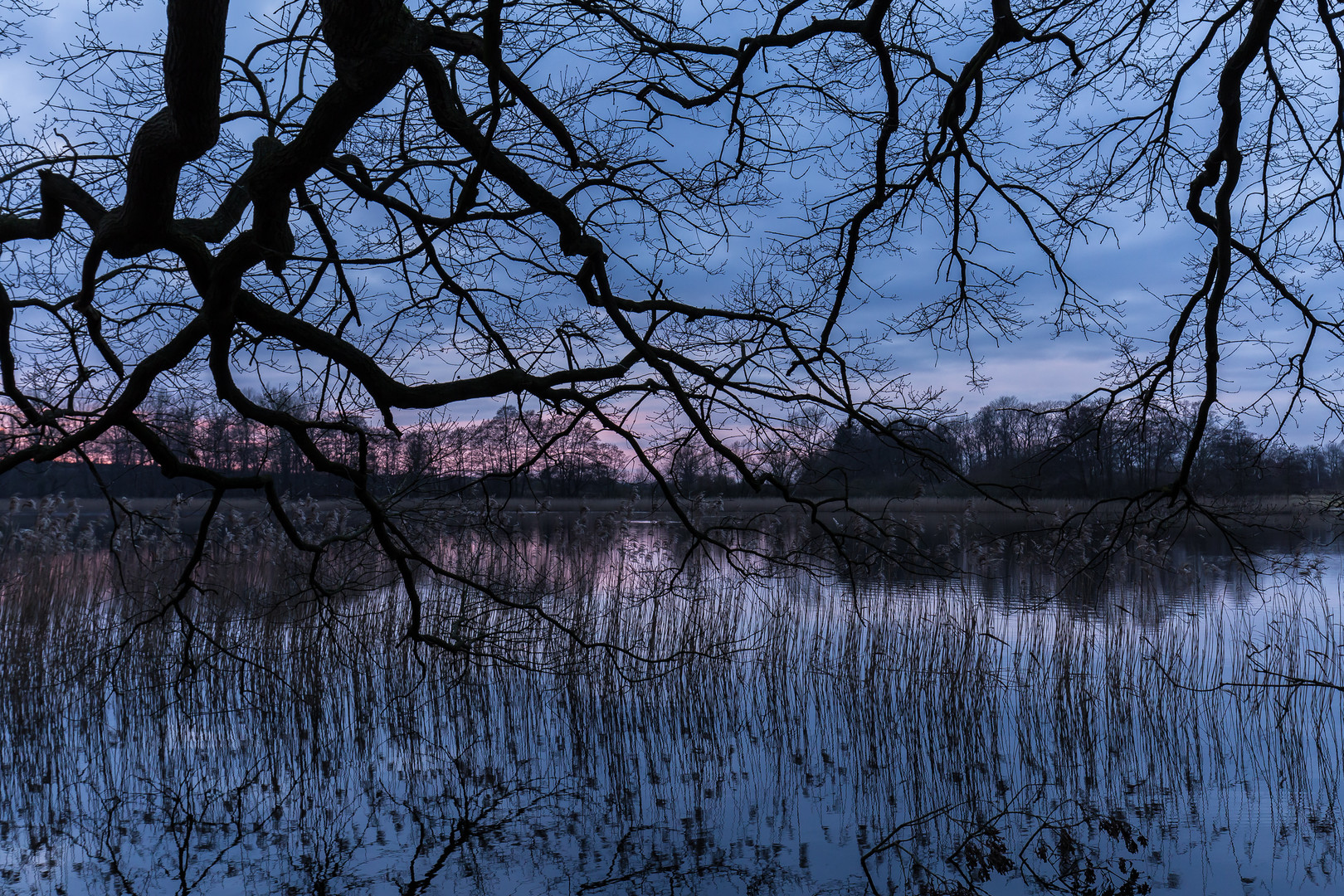 Sonnenuntergang am Hudenwald