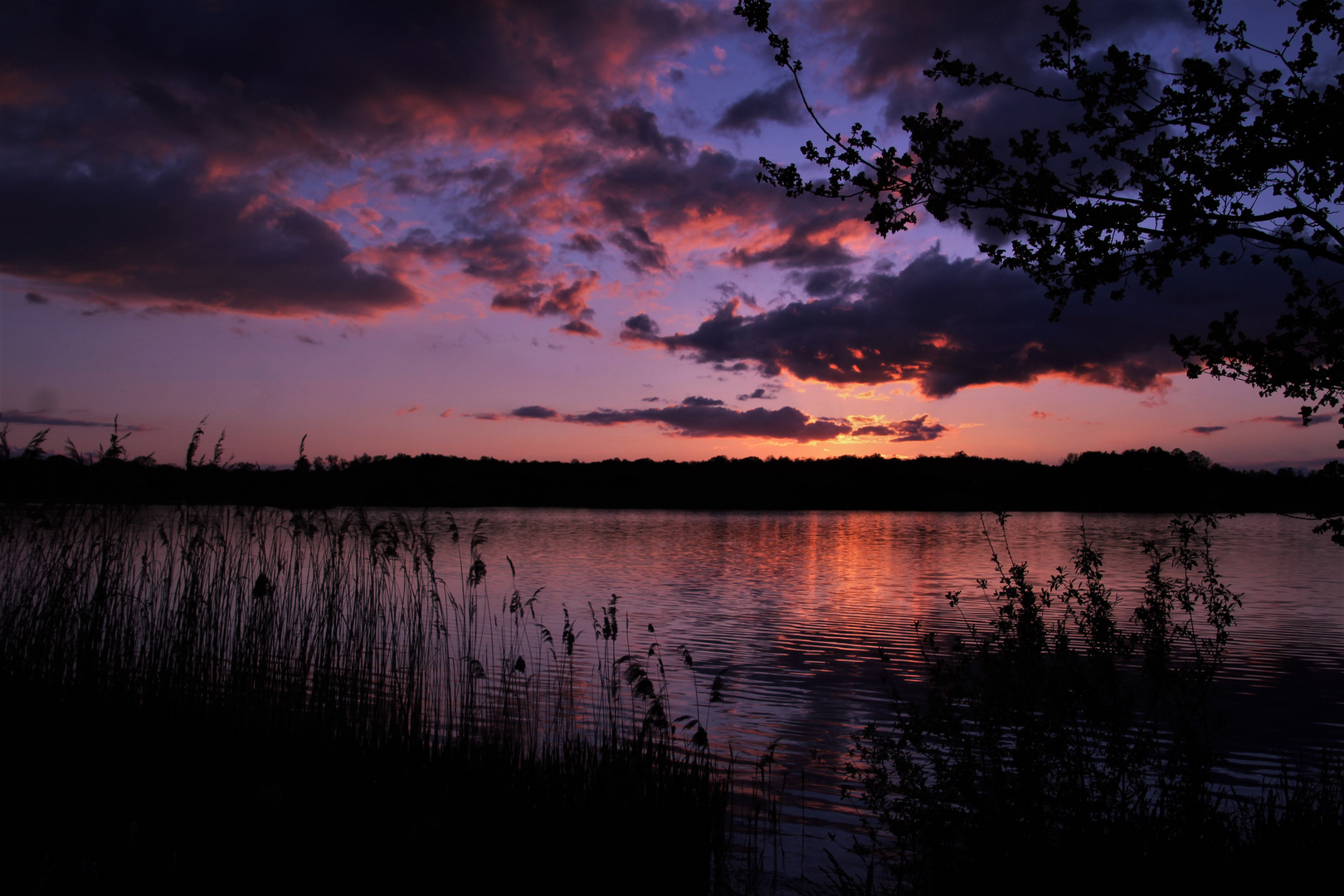 Sonnenuntergang am Inselteich bei Schlepzig