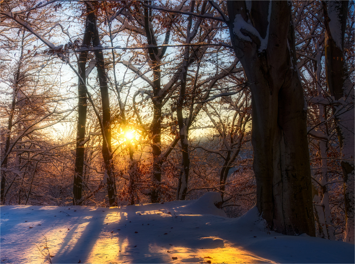 Sonnenuntergang am Isarhochufer