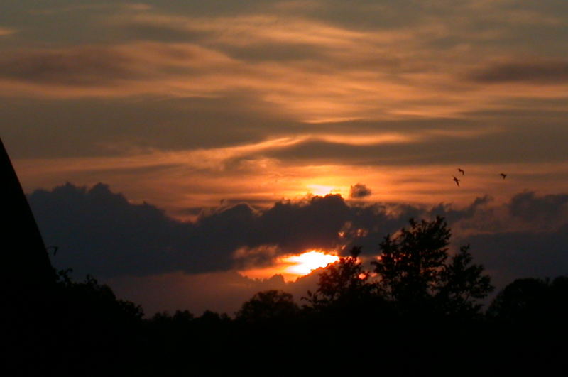 Sonnenuntergang am Jadebusen (Reitland)