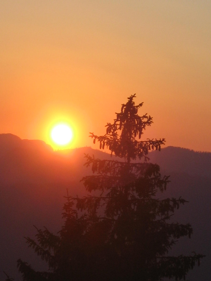 Sonnenuntergang am Jenner