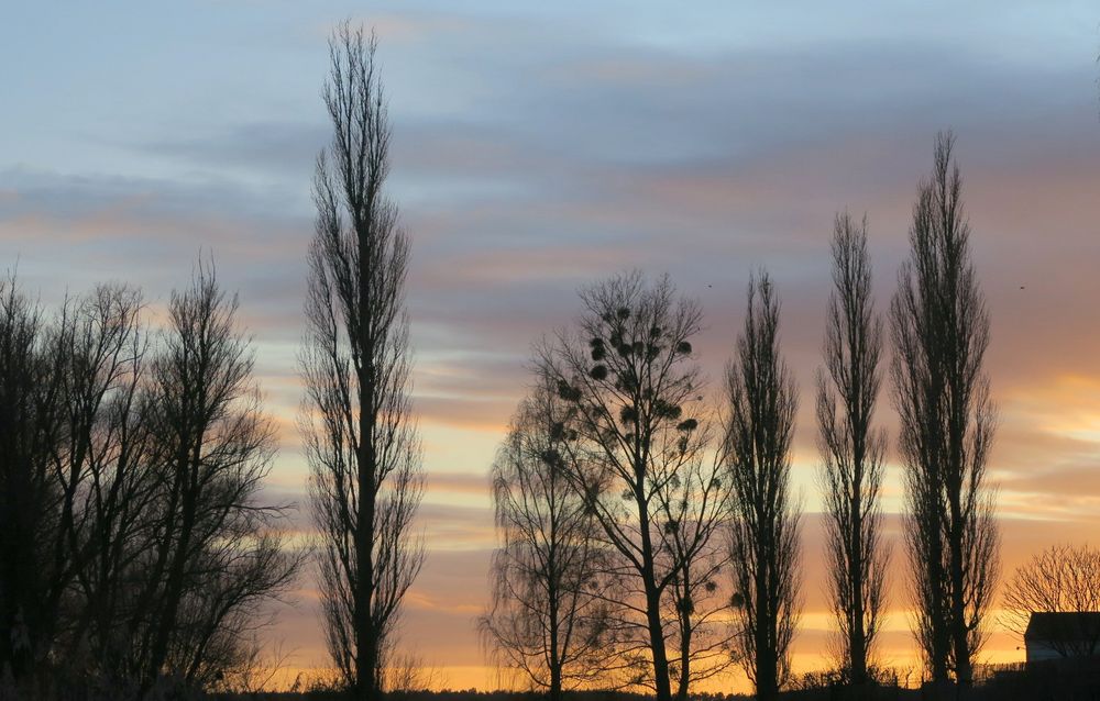 Sonnenuntergang am Käbelicksee 