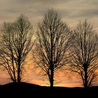 Sonnenuntergang am Kaiserstuhl 