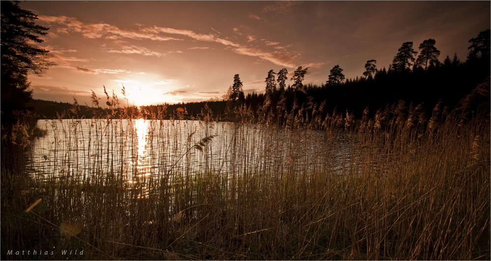 Sonnenuntergang am Kammerweiher