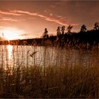 Sonnenuntergang am Kammerweiher