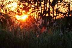 Sonnenuntergang am Kanal