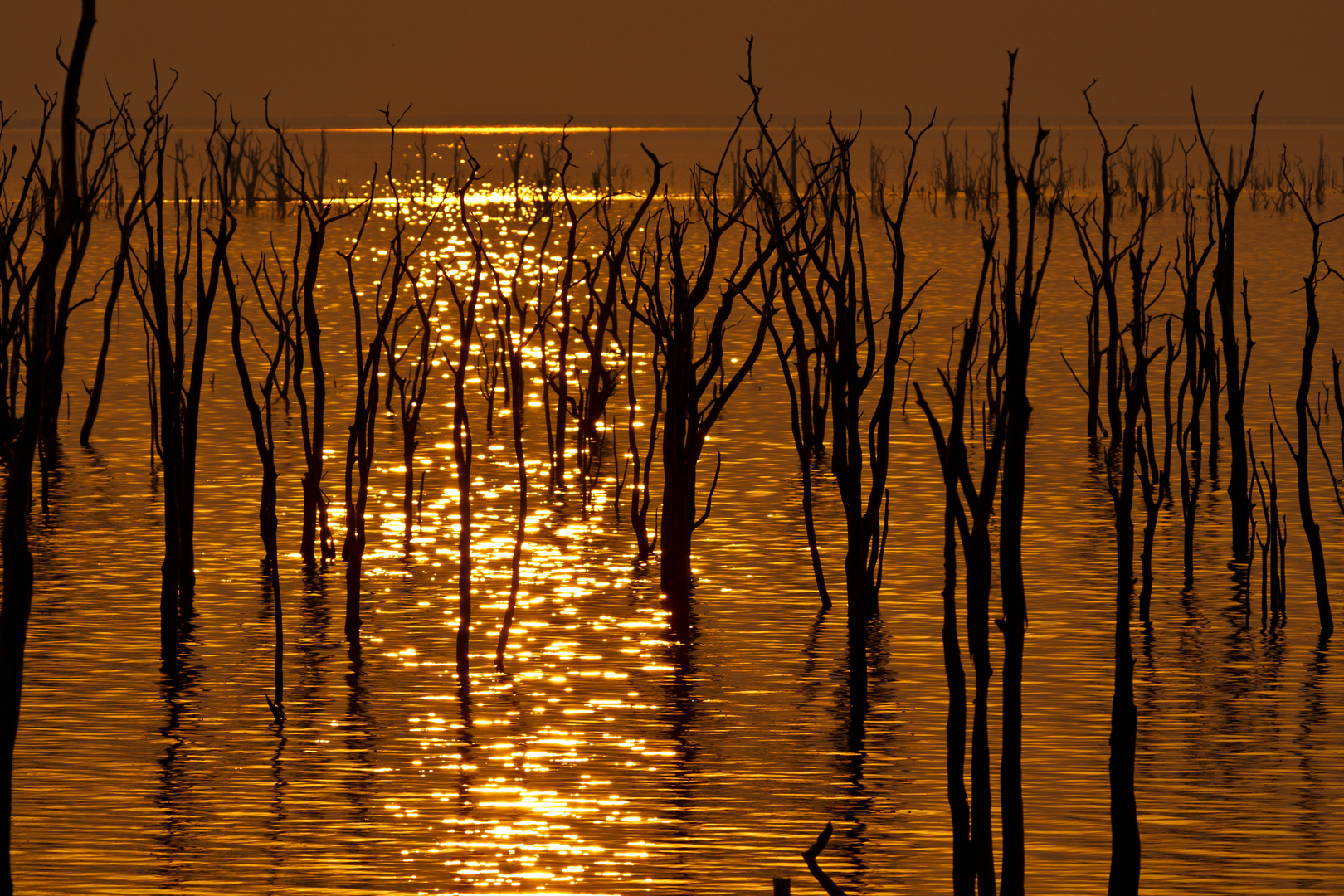 Sonnenuntergang am Kariba-See, Matusadona NP, 22.09.2019.