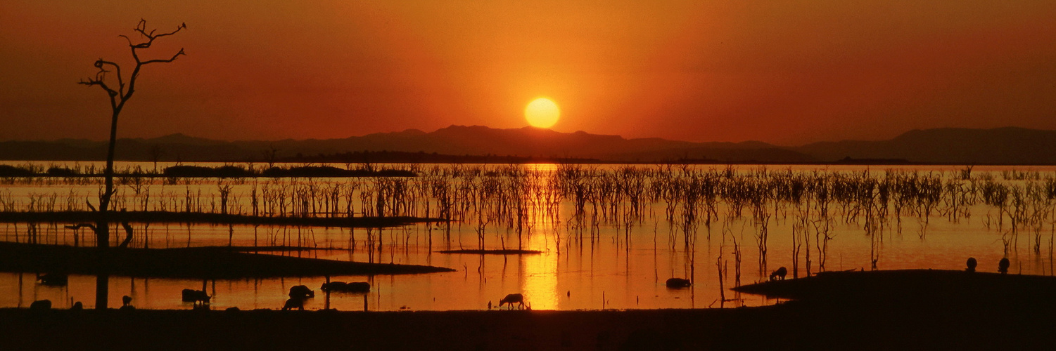 Sonnenuntergang am Kariba Stausee in Simbabwe