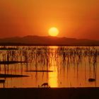 Sonnenuntergang am Kariba Stausee in Simbabwe