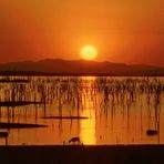 Sonnenuntergang am Kariba Stausee in Simbabwe