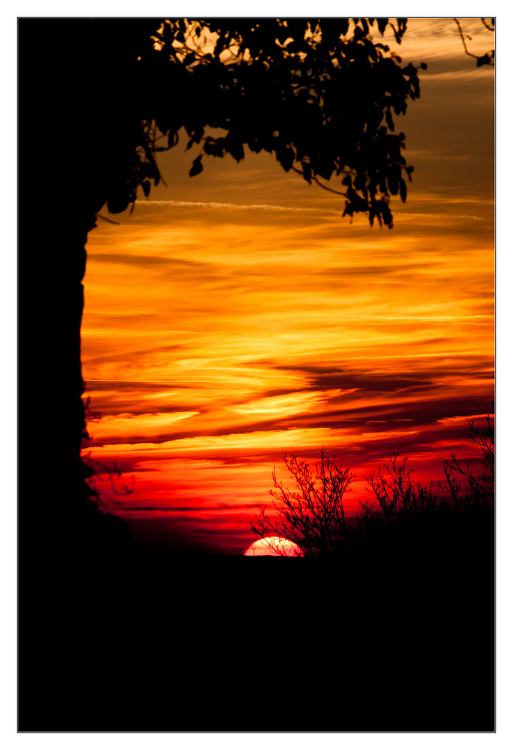 Sonnenuntergang am Karlsruher Turmberg.