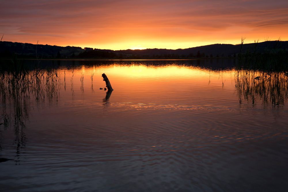 Sonnenuntergang am Kochelsee