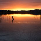 Sonnenuntergang am Kochelsee