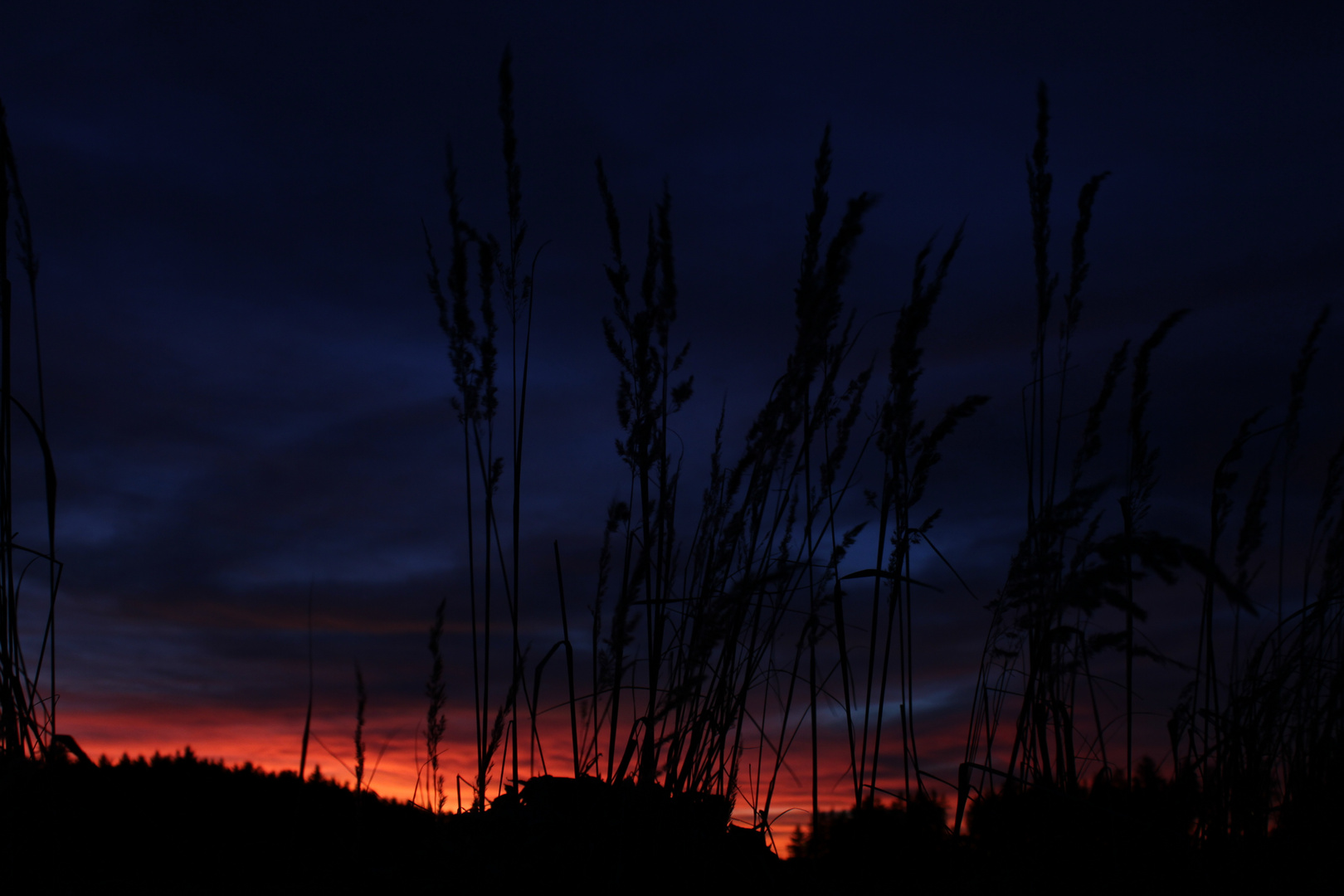 Sonnenuntergang am Kornfeld