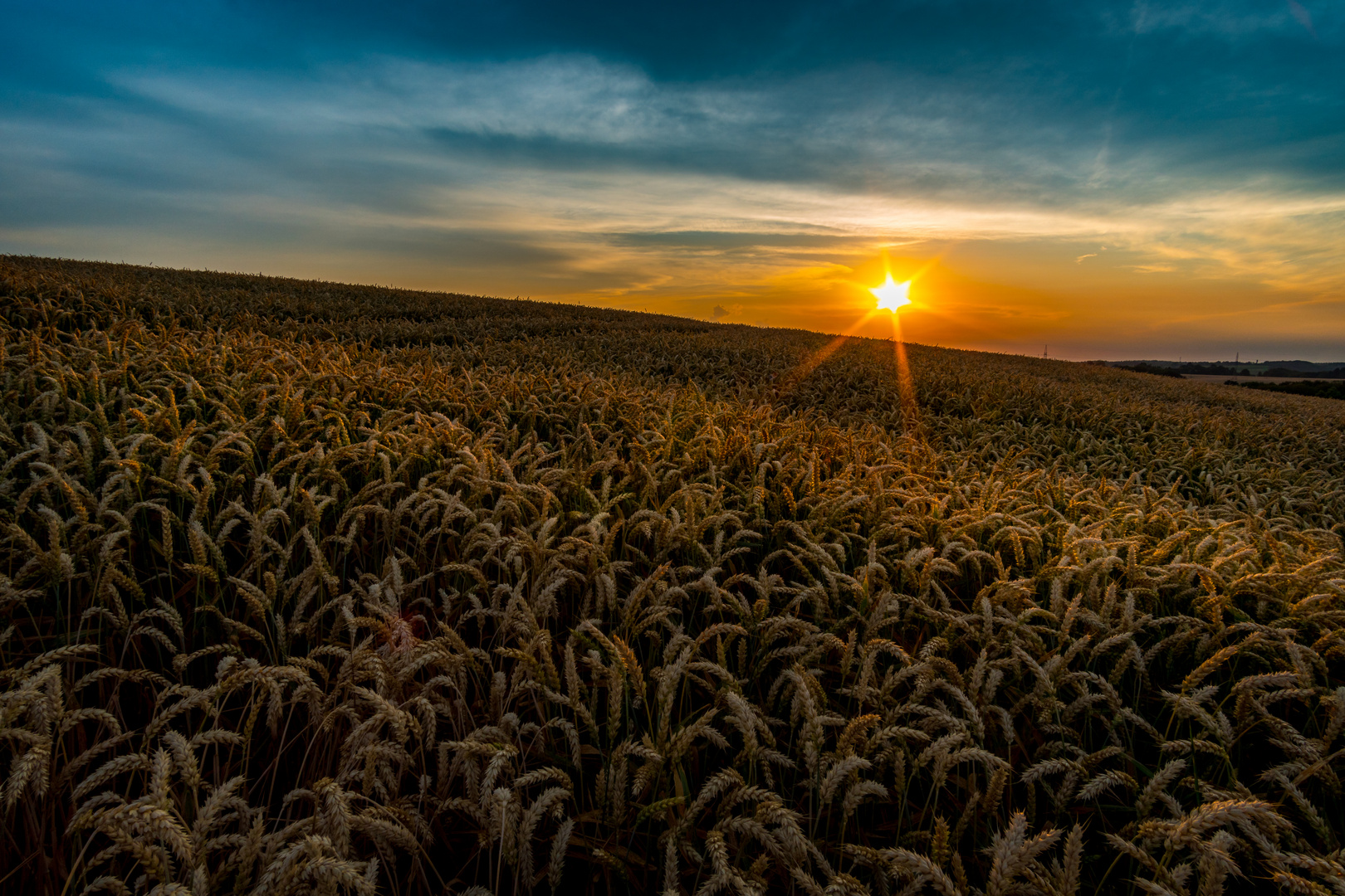 Sonnenuntergang am Kornfeld