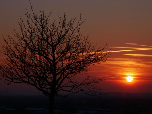 Sonnenuntergang am Kronsberg
