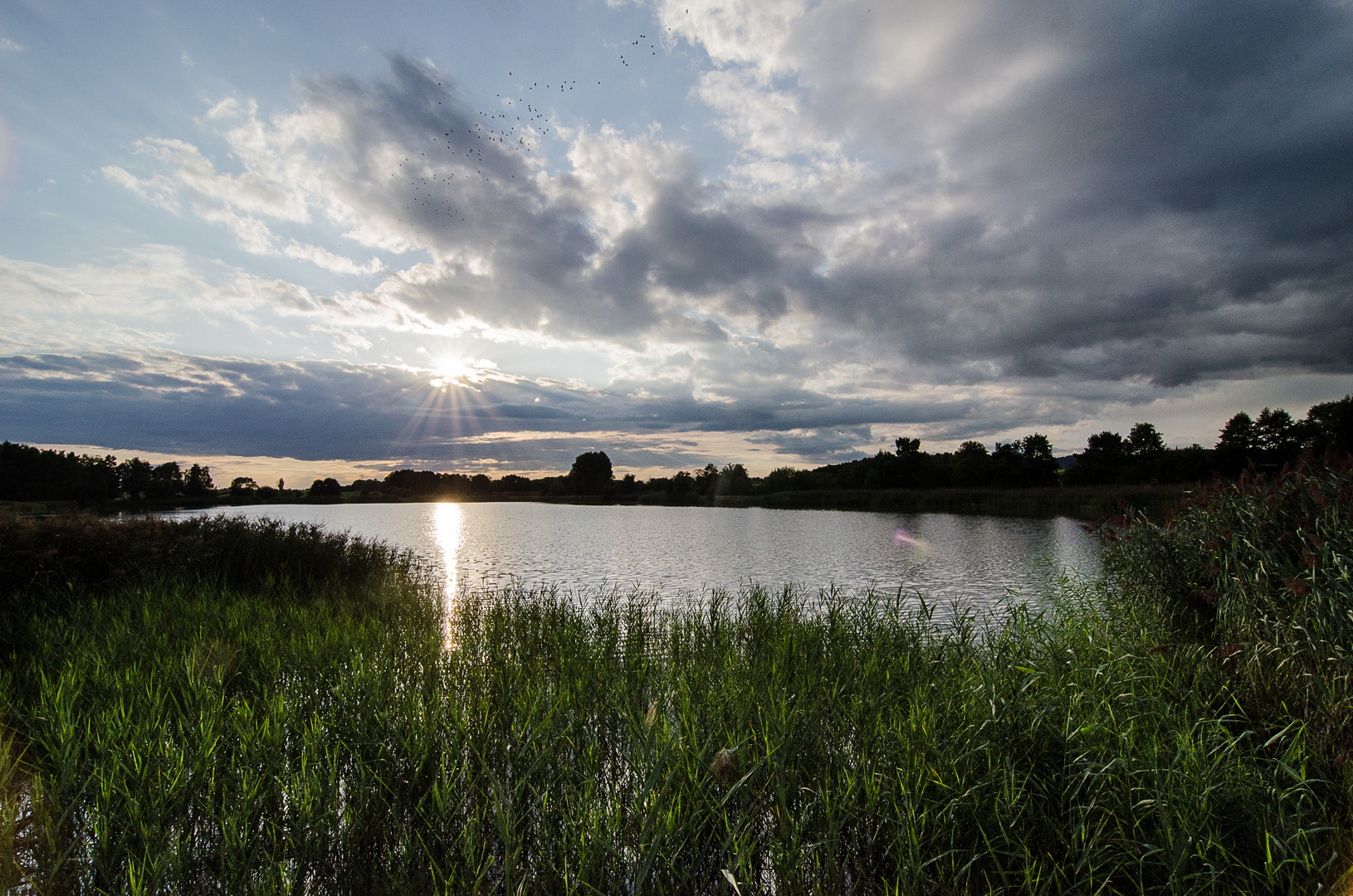 Sonnenuntergang am Kuhweiher