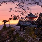 Sonnenuntergang am Kyomizu-dera Tempel in Kyoto Japan