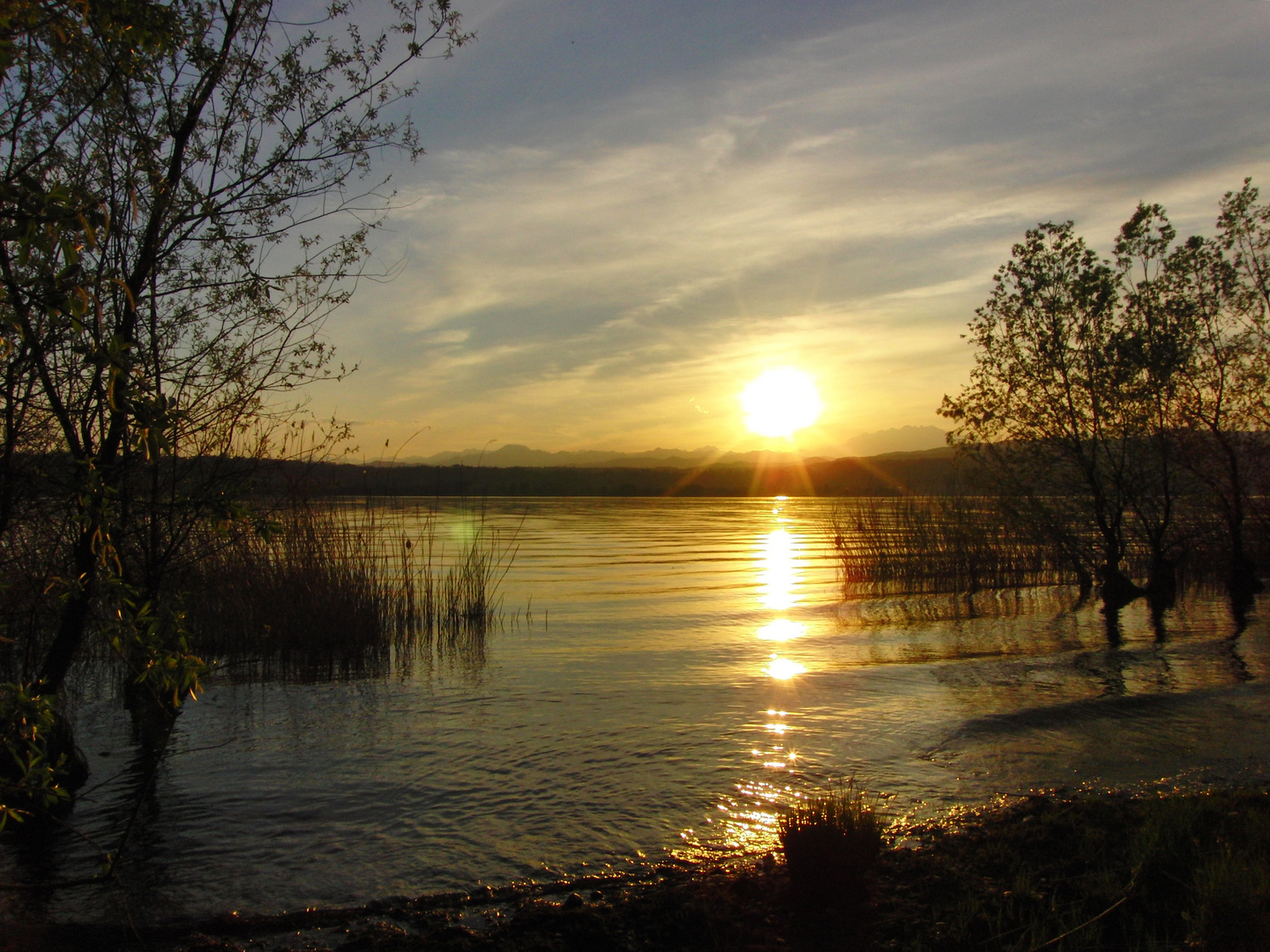 Sonnenuntergang Am Lago Maggiore Abendstimmung Foto Bild Sonnenuntergang Natur See Bilder Auf Fotocommunity