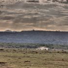 Sonnenuntergang am Lake Manyara