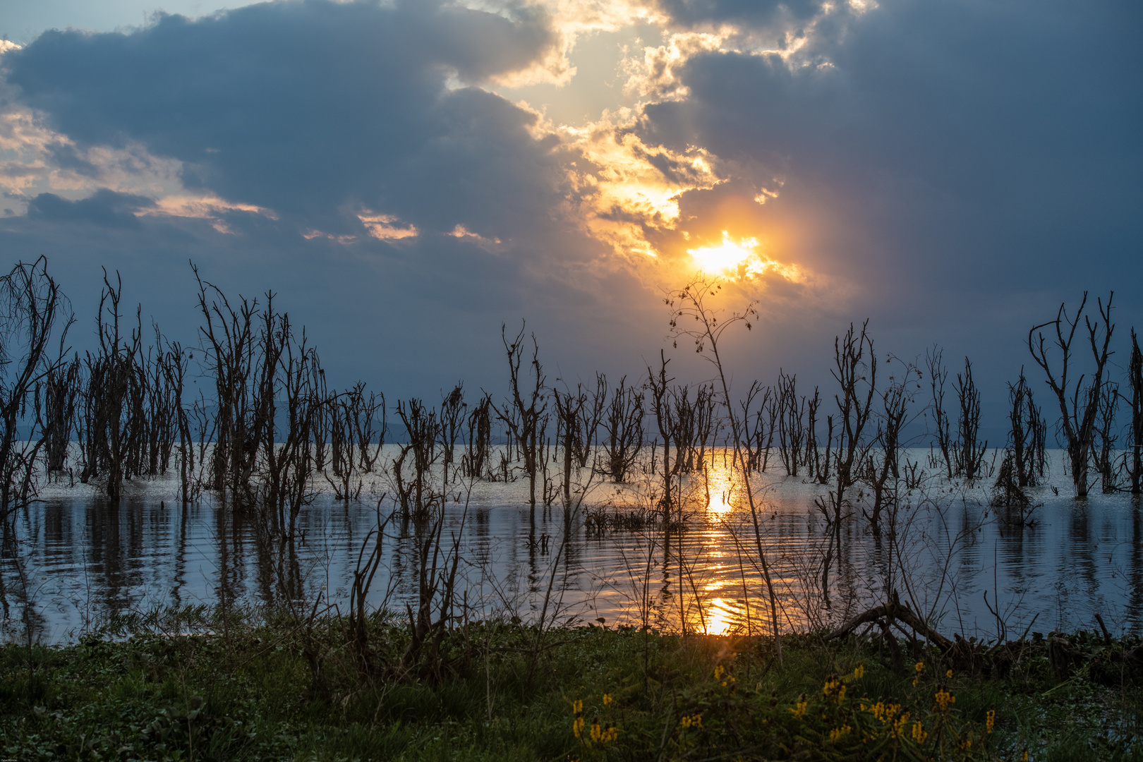 Sonnenuntergang am Lake Naivasha