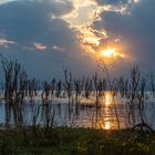 Sonnenuntergang am Lake Naivasha