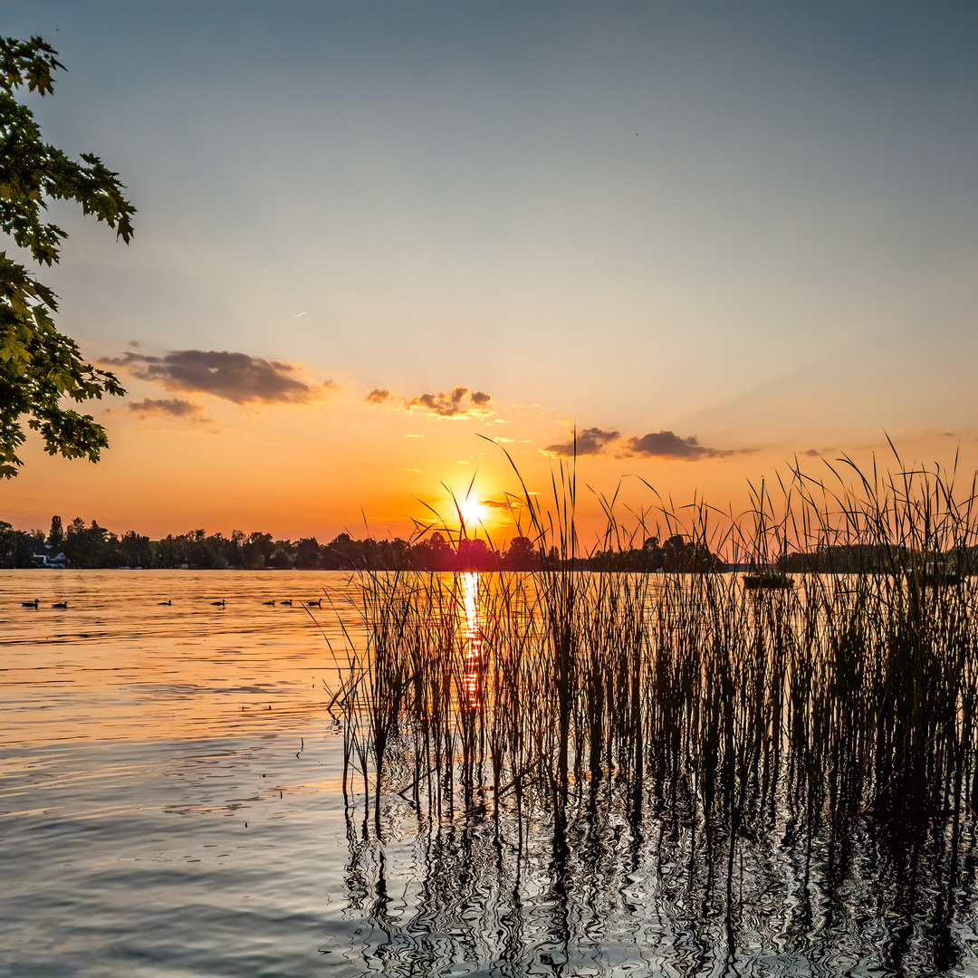 Sonnenuntergang am Langen See