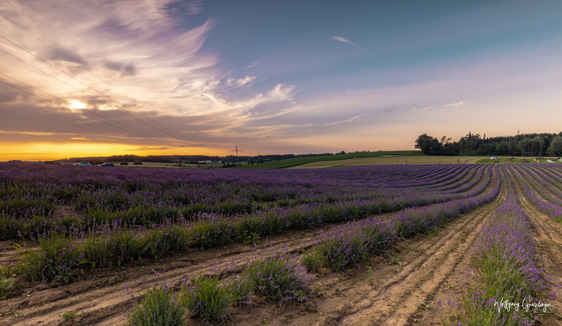 Sonnenuntergang am Lavendelfeld