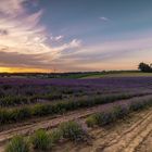 Sonnenuntergang am Lavendelfeld