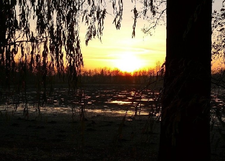 Sonnenuntergang am leeren Teich