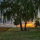 Sonnenuntergang am Lieblingsplatz