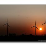 Sonnenuntergang .... am linken Niederrhein